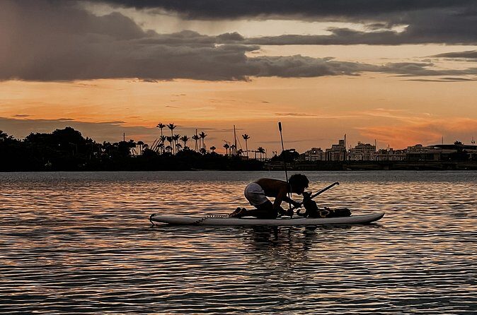 1-Hour Condado Lagoon Paddleboard Rental in San Juan - Quick practical timing: when to go and how to make the hour count