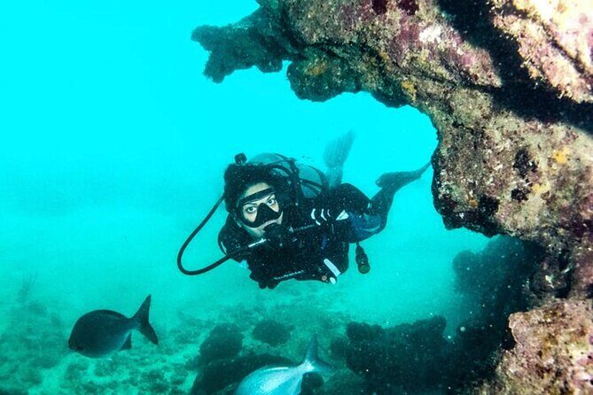 2-Tank Scuba Boat Trip in World-Class Sites @ Copamarina - The Epicenter: an underwater fissure from the 2020 earthquake