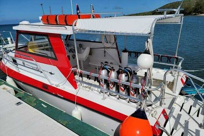 2-Tank Scuba Boat Trip in World-Class Sites @ Copamarina - Price and value: what $235 buys you (and why it may cost less than it seems)