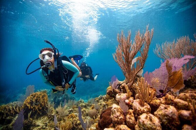 2-Tank Scuba Boat Trip in World-Class Sites @ Copamarina - What the small group experience feels like in real life