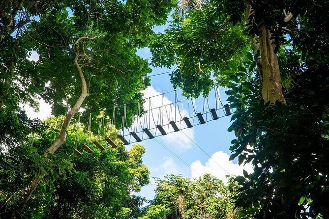 Adventure Trail Tour in the foothills of the National Rainforest - What to wear and bring from Road 191 (and what to leave behind)