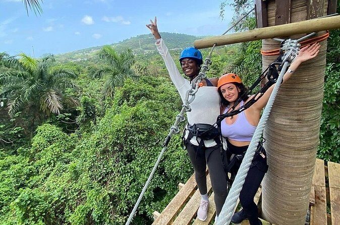Adventure Trail Tour in the foothills of the National Rainforest - Should you book the Adventure Trail? My practical verdict
