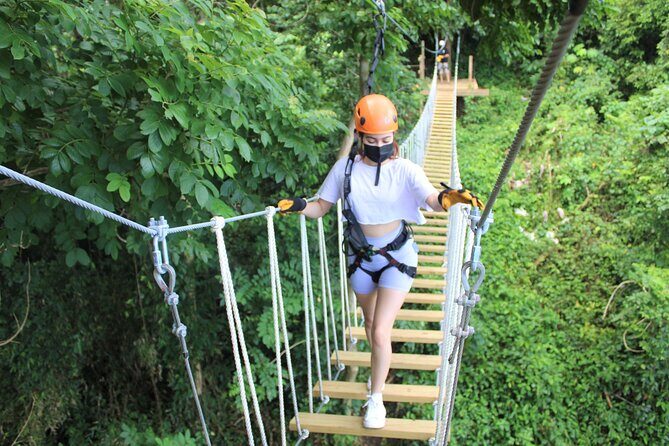 Adventure Trail Tour in the foothills of the National Rainforest - Nature learning in motion: flora and fauna moments you can actually remember