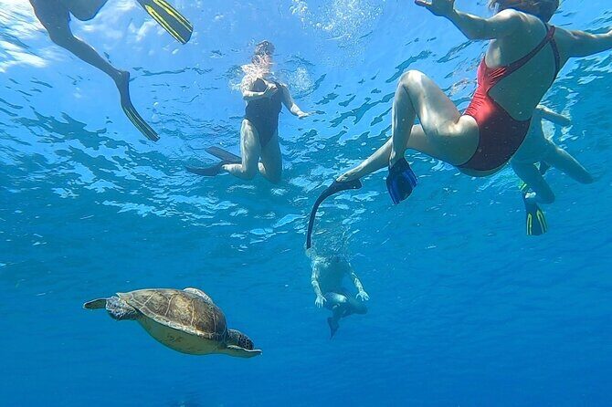 Aguadilla Tropical Snorkeling - Carolina and Edwin’s approach: guided reef time, not a quick swim-and-go