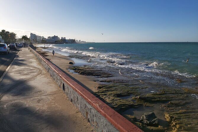 Airport Transfer to Cruise Ships, Hotels, Airbnb in San Juan - Cruise ship timing: getting off the ship and on the road