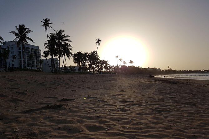 Airport transportation between San Juan and Rio Grande - Price and Value: Why $110 Can Beat Resort Shuttles