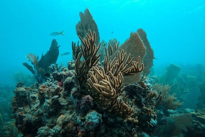 All Inclusive Beach and Snorkel Boat Tour to Icacos Island - Who This Tour Fits Best (And Who Should Skip It)