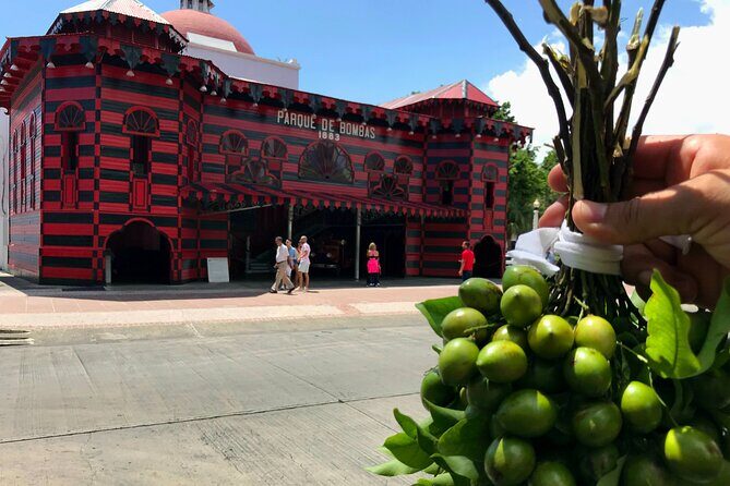 Around the Island Tour From San Juan - Key highlights at a glance
