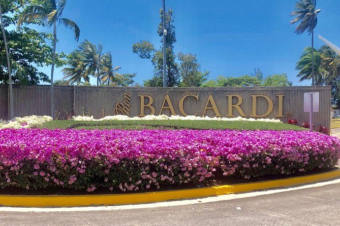 Bacardi Rum Distillery and Old San Juan Tour - Old San Juan in one guided hour: where the focus really goes