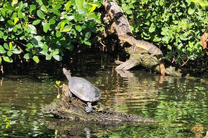 Backwater Wildlife and Boat Tour - Meeting at Carolina Marina and Getting Set for the Ride