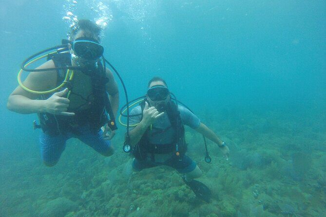 Beginner Scuba Diving Guided Tour - No Experience Required - Weather, Health Checks, and the Flying Rule (Read This Part)
