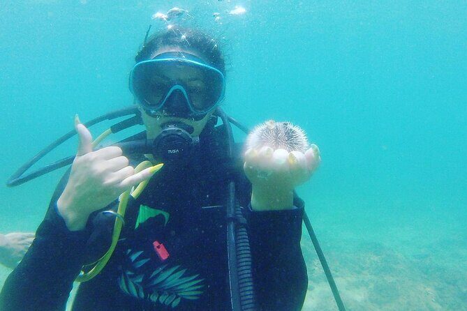 Beginner Scuba Diving Guided Tour - No Experience Required - Price and Value: Why $99 Can Make Sense for a Private Lesson