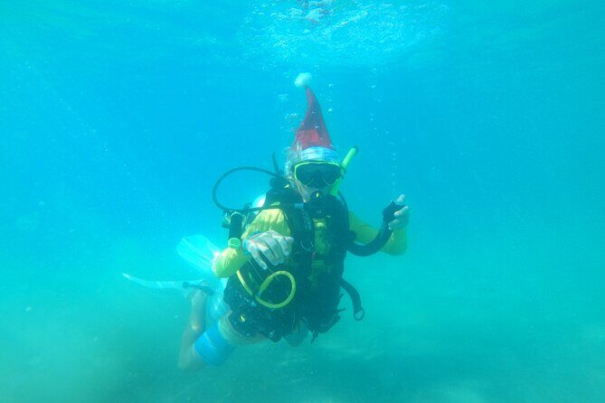Beginner Scuba Diving Guided Tour - No Experience Required - Who This Works Best For (And What to Think About First)