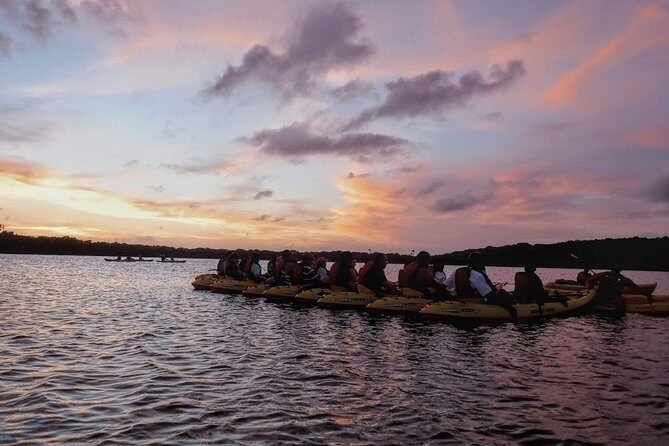 Bio Bay Kayak Tour in Fajardo - The Weight Limit and Health Restrictions: Plan Smart