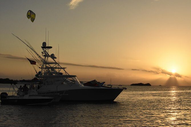 Bio Bay Magic and Rum Tasting Tour from San Juan - Key Highlights You’ll Actually Care About