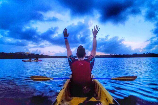 Bio Bay Night Kayak Tour in Fajardo - Key Highlights You’ll Feel Right Away