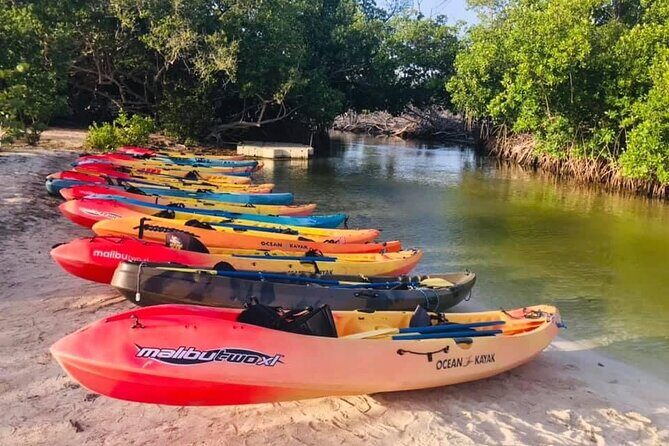 Bio Bay Night Kayak Tour in Fajardo - Kayak Village Start: the rules that keep the bay alive