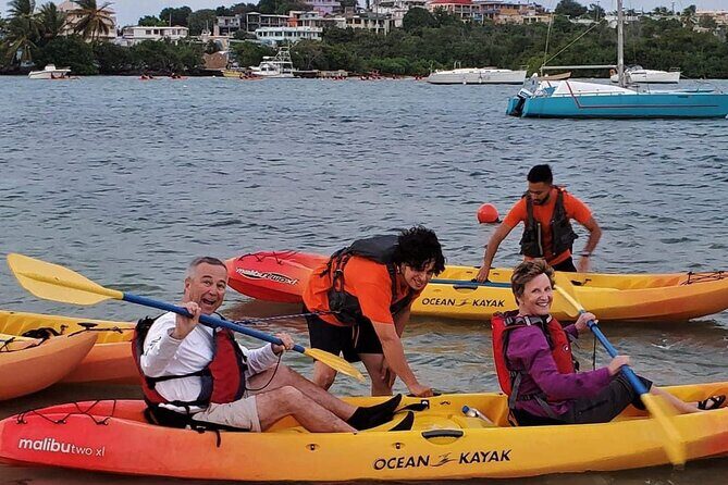 Bio Bay Night Kayak Tour in Fajardo - Bioluminescent Bay at Night: the shimmering show, paddle powered