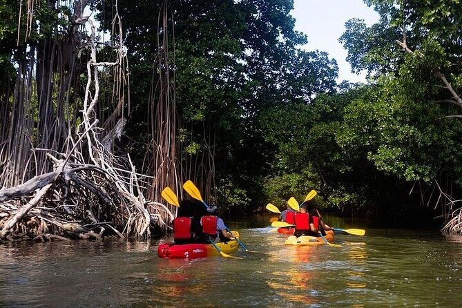 Bio Bay Night Kayak Tour in Fajardo - Physical reality check: currents, timing, and paddling effort