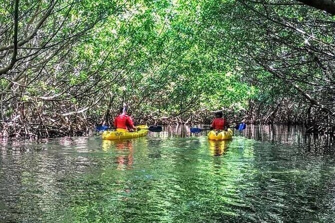 Bio Bay Night Kayak Tour in Fajardo - Price and value: what $85 buys you beyond the glow