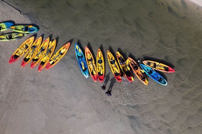 Bio Bay Night Kayak Tour in Fajardo - The Mangrove Route: a one-mile channel that sets the mood
