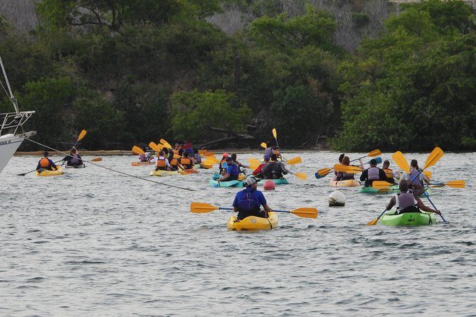 Bio Bay Night Kayak Tour with Transport from San Juan - What to Bring for a Better Night (Bug Spray Matters)
