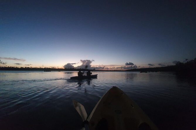 Bio Bay Night Kayak Tour with Transport from San Juan - Who This Tour Fits Best (And Who Should Skip It)