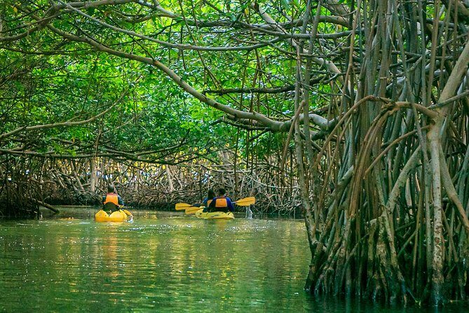 Bio Bay Night Kayaking | Laguna Grande, Fajardo - Peniel Access Eco Tours: What You Do Before You’re on the Water
