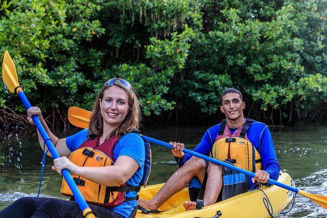 Bio Bay Night Kayaking | Laguna Grande, Fajardo - The Bioluminescent Moment: How to See the Glow (Without Chasing Instagram)