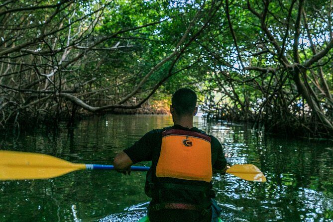 Bio Bay Night Kayaking | Laguna Grande, Fajardo - What to Wear and Bring for a Dry-ish Plan That Won’t Exist