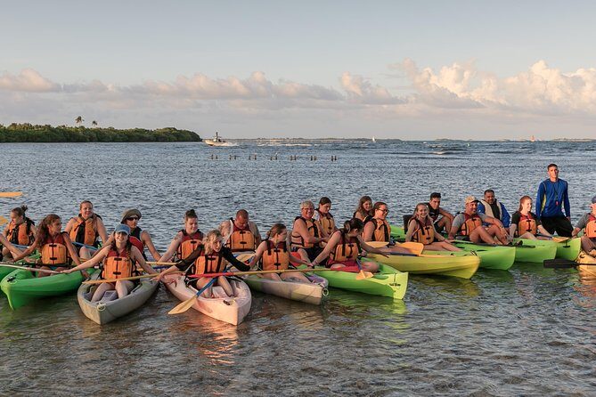 Bio Bay Night Kayaking with Transport from San Juan Area - Stop 1 at Laguna Grande: mangroves first, bioluminescence second