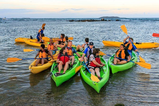 Bio Bay Night Kayaking with Transport from San Juan Area - The 4:00 pm timeline: how the evening is paced