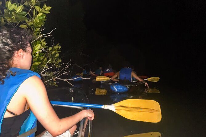 Bio Bay Tour Vieques – Full Clear Canoes Experience - Price and Value: Is $57 a Good Deal?