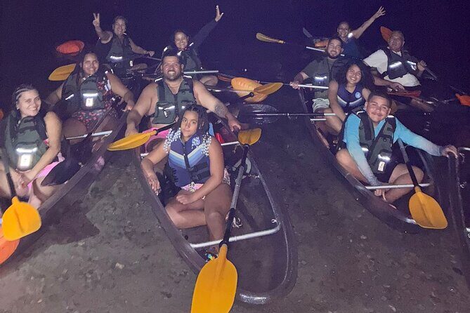 Biobay Vieques Tour Kayak Night Tour - Mosquito Bay Magic From a Clear Kayak: What You’ll Actually See