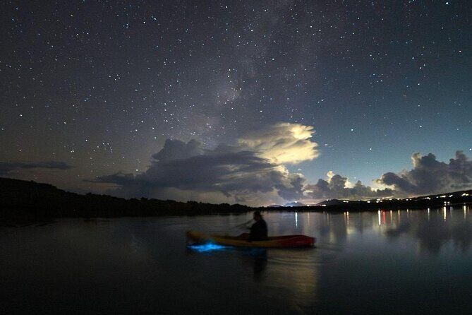 Biobay Vieques Tour Kayak Night Tour - Who This Vieques Kayak Biobay Tour Is Best For