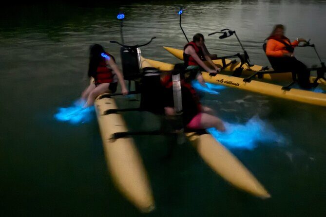 Bioluminescent Bay Chiliboats Waterbike Tour in La Parguera - La Parguera’s bioluminescence: what you’re actually watching