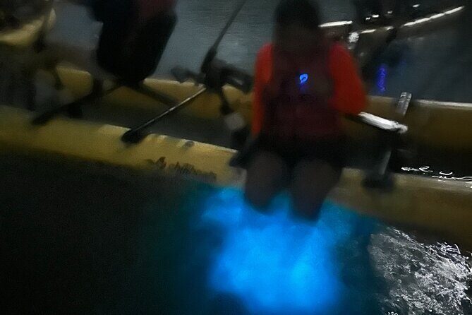 Bioluminescent Bay Chiliboats Waterbike Tour in La Parguera - Price and value: is $79 worth it?