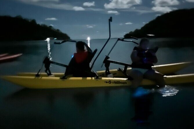 Bioluminescent Bay Chiliboats Waterbike Tour in La Parguera - Where you meet and how early you should arrive at Punta Papayo