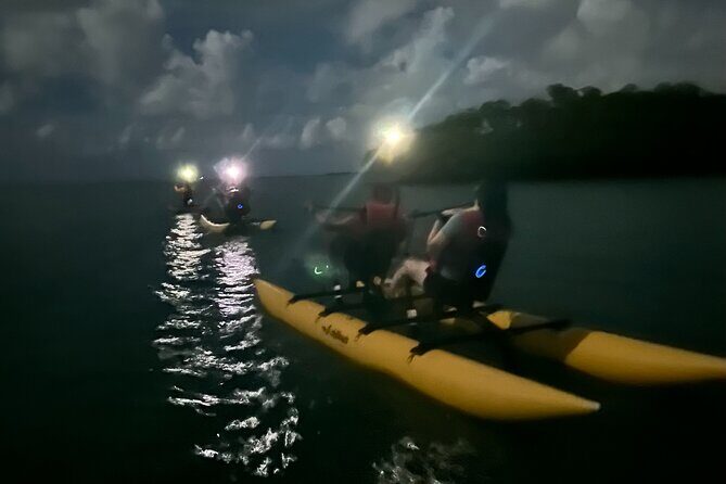 Bioluminescent Bay Chiliboats Waterbike Tour in La Parguera - The 1.5-hour rhythm: what the tour does step by step