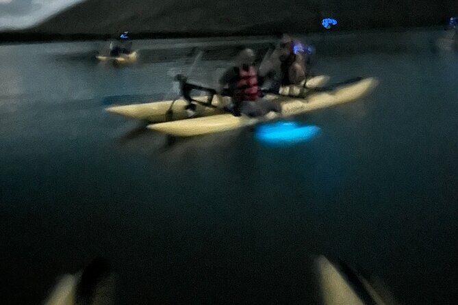Bioluminescent Bay Chiliboats Waterbike Tour in La Parguera - Eco rules and why they matter on the water