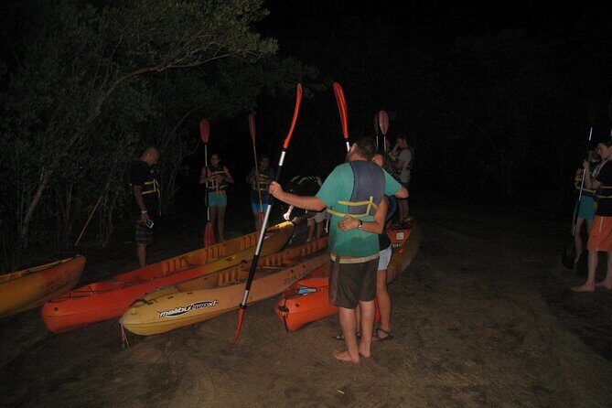 Bioluminescent Bay Kayak Trip from Vieques - Why this tour works for a first-time Bio Bay night