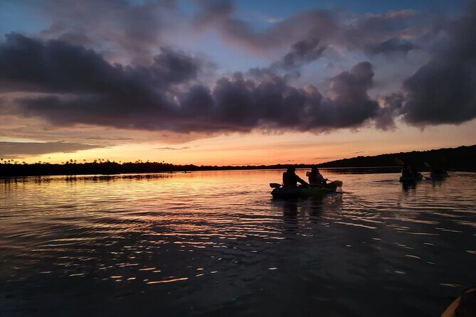 Bioluminescent Bay Night Kayaking Adventure in Puerto Rico - Key things that make this kayaking tour worth your attention