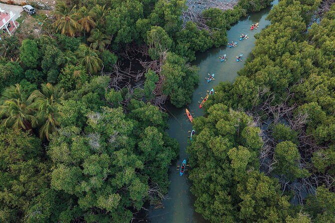 Bioluminescent Bay Night Kayaking Adventure in Puerto Rico - Heading back to shore: snacks and what you’ll remember besides the glow