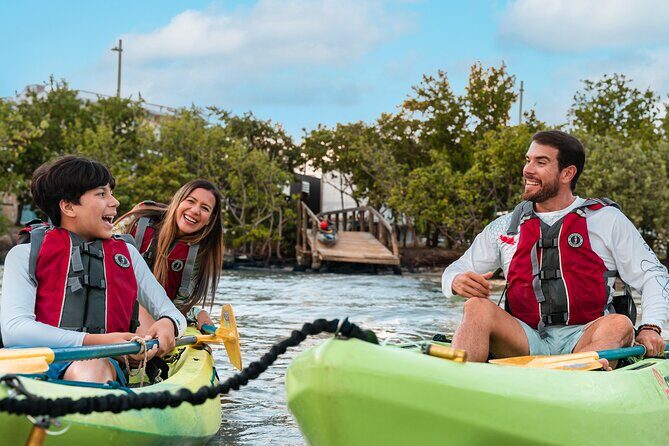 Bioluminescent Bay Night Kayaking Adventure in Puerto Rico - Price and value: why $80 can be worth it (and when it may not feel that way)