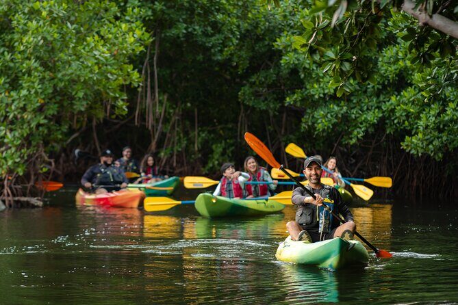 Bioluminescent Bay Night Kayaking Adventure in Puerto Rico - Who this tour fits best, plus key rules you must know