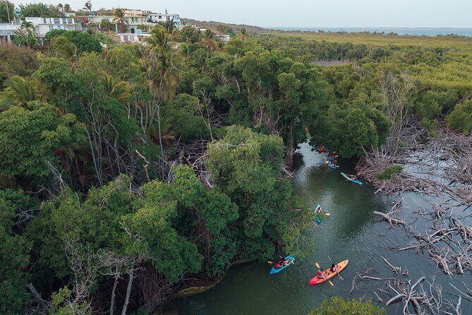Bioluminescent Bay Night Kayaking Adventure in Puerto Rico - Tips to get a brighter glow (and a calmer paddle)