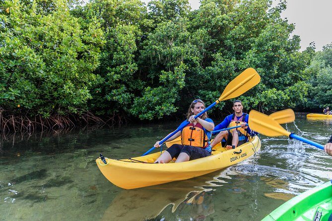 Bioluminescent Bay Night Kayaking, Fajardo - Why Fajardo’s Laguna Grande glows at night