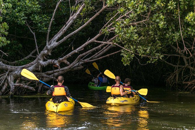 Bioluminescent Bay Night Kayaking, Fajardo - Why the guides matter (Emily, AJ, Joe, Ashley, Kenneth, Thalia)