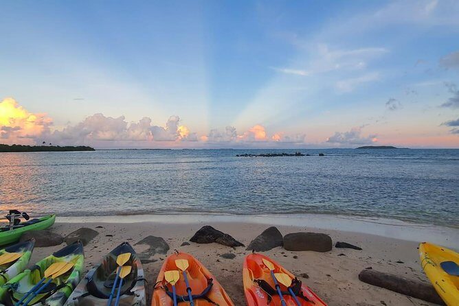 Bioluminescent Bay Night Kayaking, Fajardo - Price and value: what $79 buys you in the real world