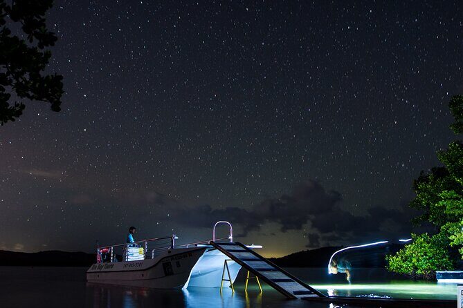 Bioluminescent Boat Tour in Mosquito Bay, Vieques - Key things that make this tour worth your attention